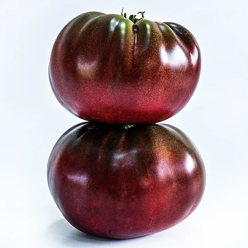 True Black Brandywine Tomato Seeds