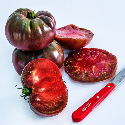 True Black Brandywine Tomato Seeds