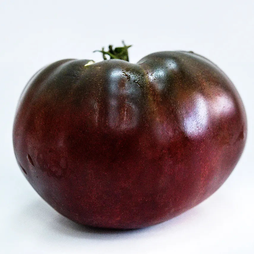 True Black Brandywine Tomato Seeds