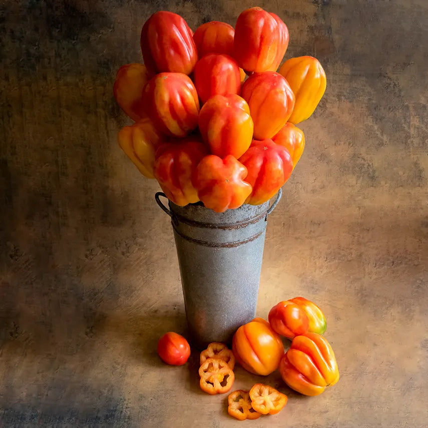 California Tulip Tomato Seeds