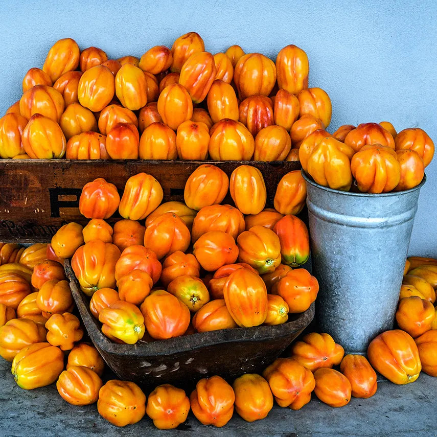 California Tulip Tomato Seeds