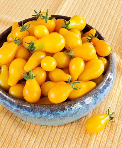 Yellow Pear Tomato Seeds